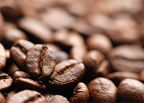 Piping Rock Arturo Rudolfo Breakfast Blend Coffee